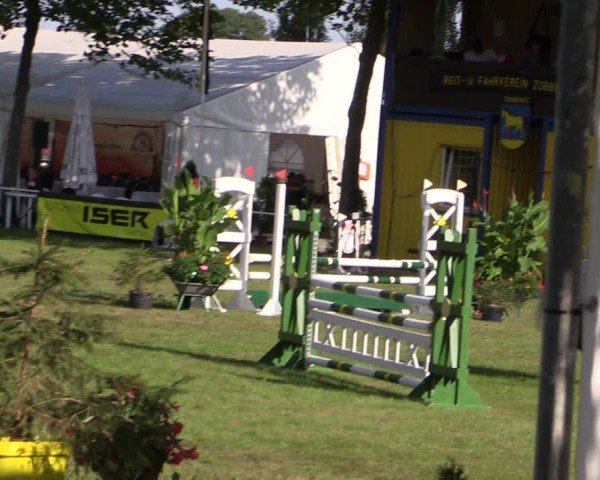 Reitturnier Zobbenitz 2024
