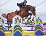 stallion Sherman Sitte (Belgium Sporthorse, 2002, from Kannan)
