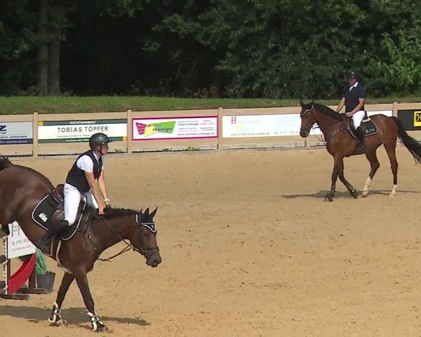 Reitturnier Tiefenhof/Opf. 2024