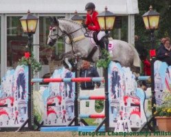 jumper Heart of Oak (Swedish Warmblood, 2007, from Heartbeat)