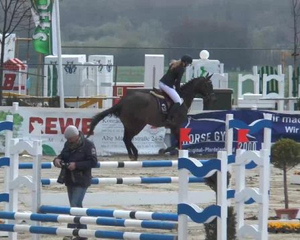 Lenklarer Reitertage auf der Reitsportanlage Gripshöver 2013