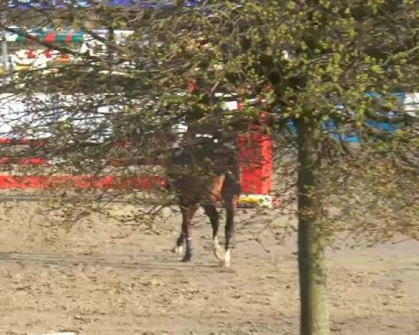 Lenklarer Reitertage auf der Reitsportanlage Gripshöver 2013