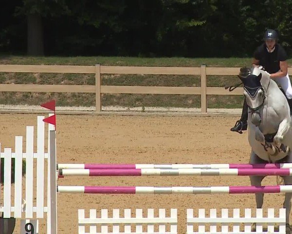 Reitturnier Tiefenhof/Opf. 2024