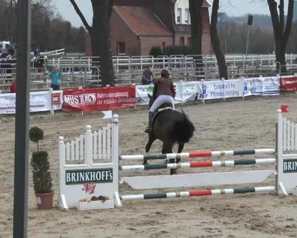 Lenklarer Reitertage auf der Reitsportanlage Gripshöver 2013