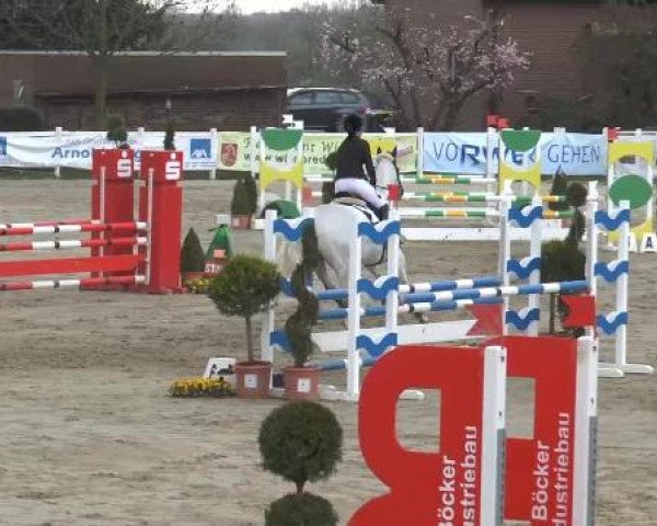 Lenklarer Reitertage auf der Reitsportanlage Gripshöver 2013