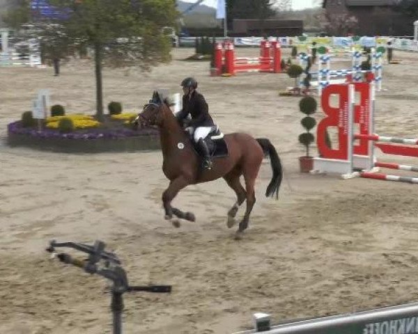 Lenklarer Reitertage auf der Reitsportanlage Gripshöver 2013