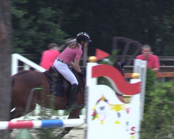 Reitturnier Arnsberg-Holzen 2024