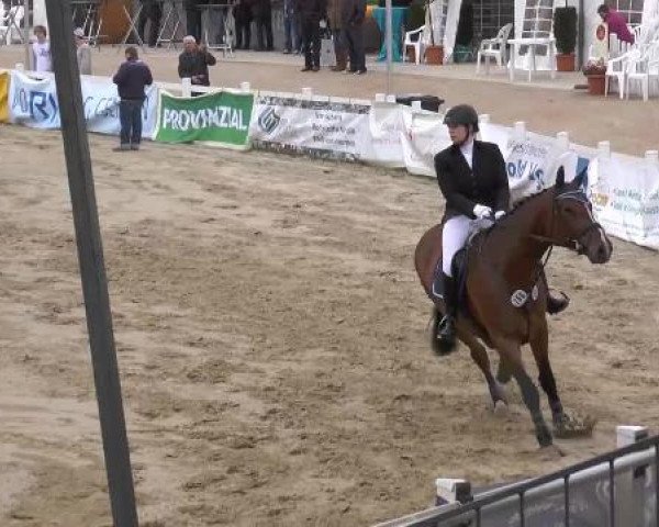 Lenklarer Reitertage auf der Reitsportanlage Gripshöver 2013