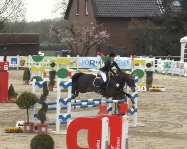 Lenklarer Reitertage auf der Reitsportanlage Gripshöver 2013