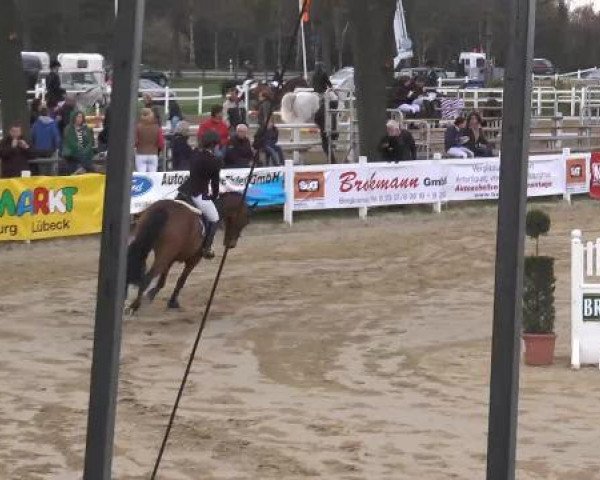 Lenklarer Reitertage auf der Reitsportanlage Gripshöver 2013