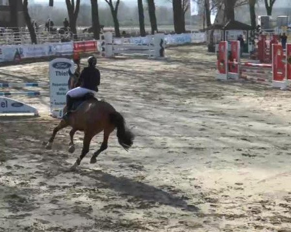 Lenklarer Reitertage auf der Reitsportanlage Gripshöver 2013