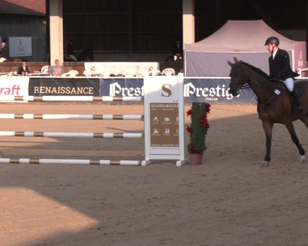Reitturnier Ranshofen - Braunau am Inn 2024