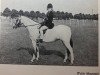 Zuchtstute Stoatley Rhosyn (Welsh Mountain Pony (Sek.A), 1956, von Coed Coch Glyndwr)