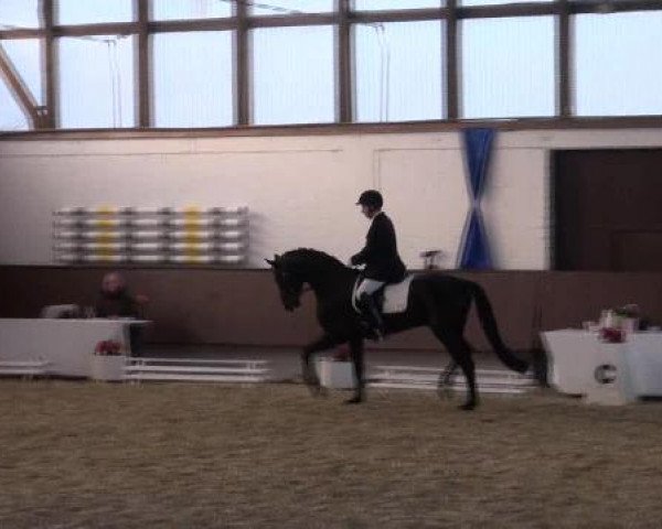 Dressur- und Springturnier Eröffnung der grünen Saison 2013