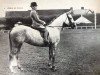 broodmare Zirree El Wada 1948 ox (Arabian thoroughbred, 1948, from Naseel ox)