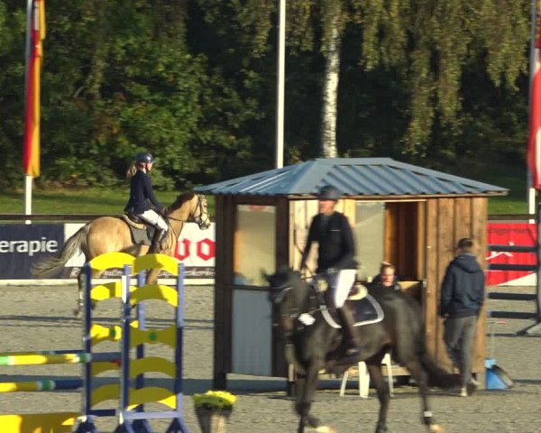 Reitturnier Westergellersen 2021