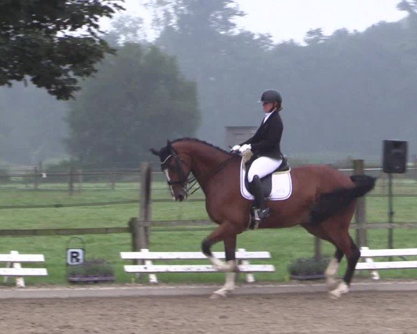 Reitturnier Nettetal-Lobberich 2024