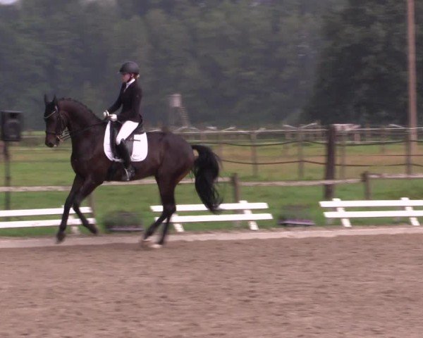 Reitturnier Nettetal-Lobberich 2024