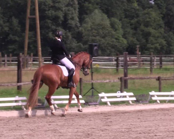 Reitturnier Nettetal-Lobberich 2024