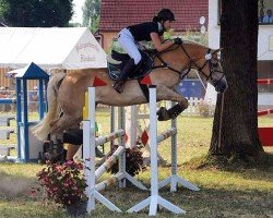 jumper Anika (Haflinger, 2007, from Austriacum)