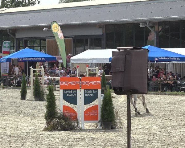 Reitturnier Nettetal-Lobberich 2024