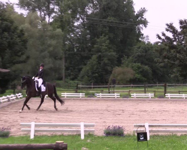 Reitturnier Nettetal-Lobberich 2024