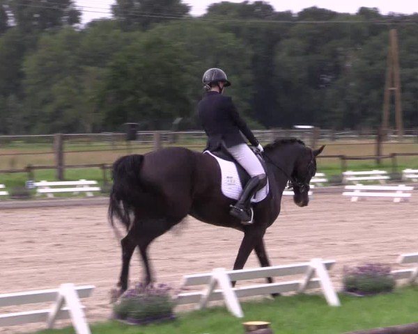 Reitturnier Nettetal-Lobberich 2024