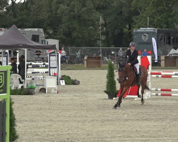 Reitturnier Nettetal-Lobberich 2024