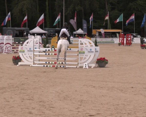 Reitturnier Ranshofen - Braunau am Inn 2024