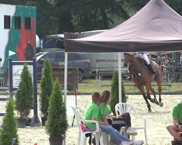 Reitturnier Nettetal-Lobberich 2024