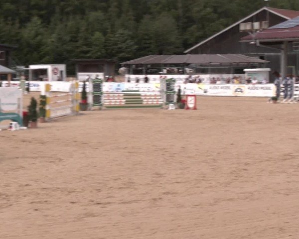 Reitturnier Ranshofen - Braunau am Inn 2024