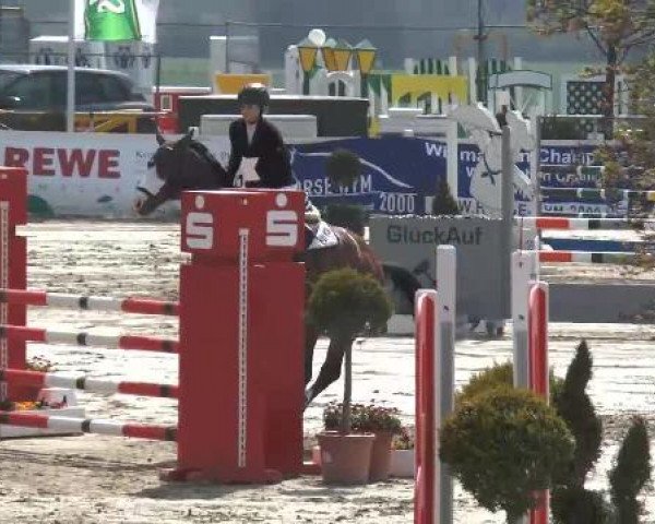 Lenklarer Reitertage auf der Reitsportanlage Gripshöver 2013