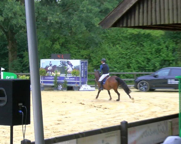 Reitturnier Stadtlohn 2024