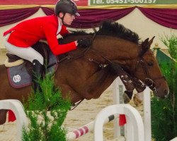 jumper Dakota (KWPN (Royal Dutch Sporthorse), 2008, from Vittorio)