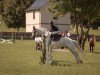 jumper Cluain Laragh Princess (Connemara Pony, 2010)