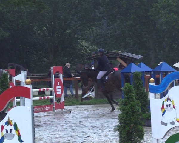 Reitturnier Arnsberg-Holzen 2024