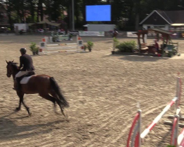 Reitturnier Klein Roscharden 2024