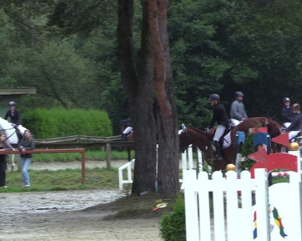 Reitturnier Arnsberg-Holzen 2024