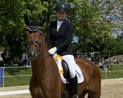 dressage horse Don de Vito 5 (Westphalian, 2017, from Don Frederico)