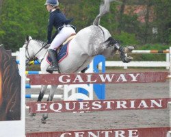 jumper Vales Blue Melody (Irish Sport Horse, 2004, from Vales Blue Rebel)