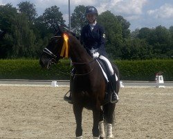 dressage horse Dark Duke (Hanoverian, 2012, from Duke Ellington)