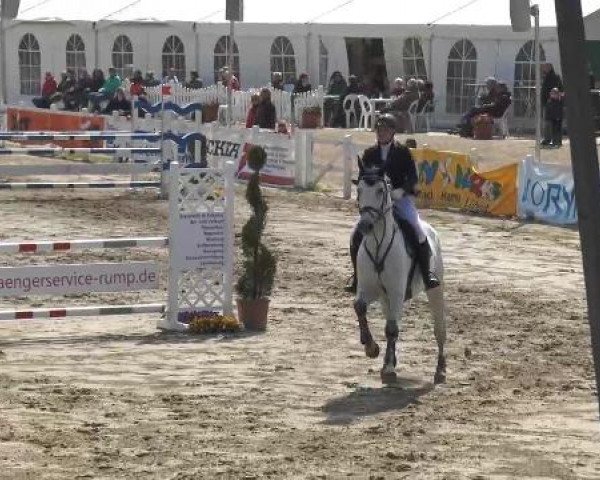 Lenklarer Reitertage auf der Reitsportanlage Gripshöver 2013