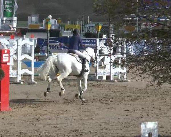 Lenklarer Reitertage auf der Reitsportanlage Gripshöver 2013
