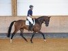 dressage horse Farina (German Sport Horse, 2015, from Don Diamond)