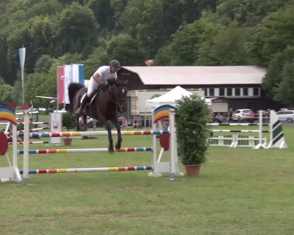 Reitturnier Bad Kissingen/Ufr. 2024
