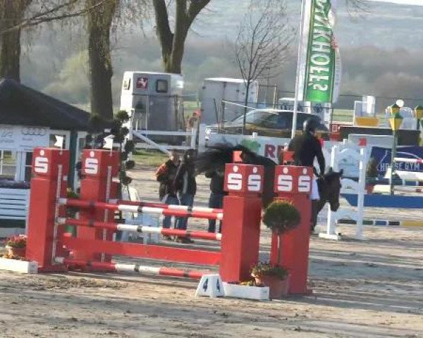 Lenklarer Reitertage auf der Reitsportanlage Gripshöver 2013