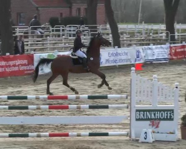 Lenklarer Reitertage auf der Reitsportanlage Gripshöver 2013