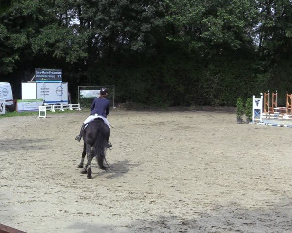 Reitturnier Arnsberg-Holzen 2024