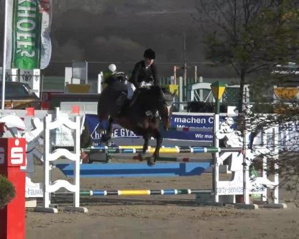 Lenklarer Reitertage auf der Reitsportanlage Gripshöver 2013