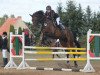 jumper L'Amando (German Sport Horse, 2010, from Lesotho)